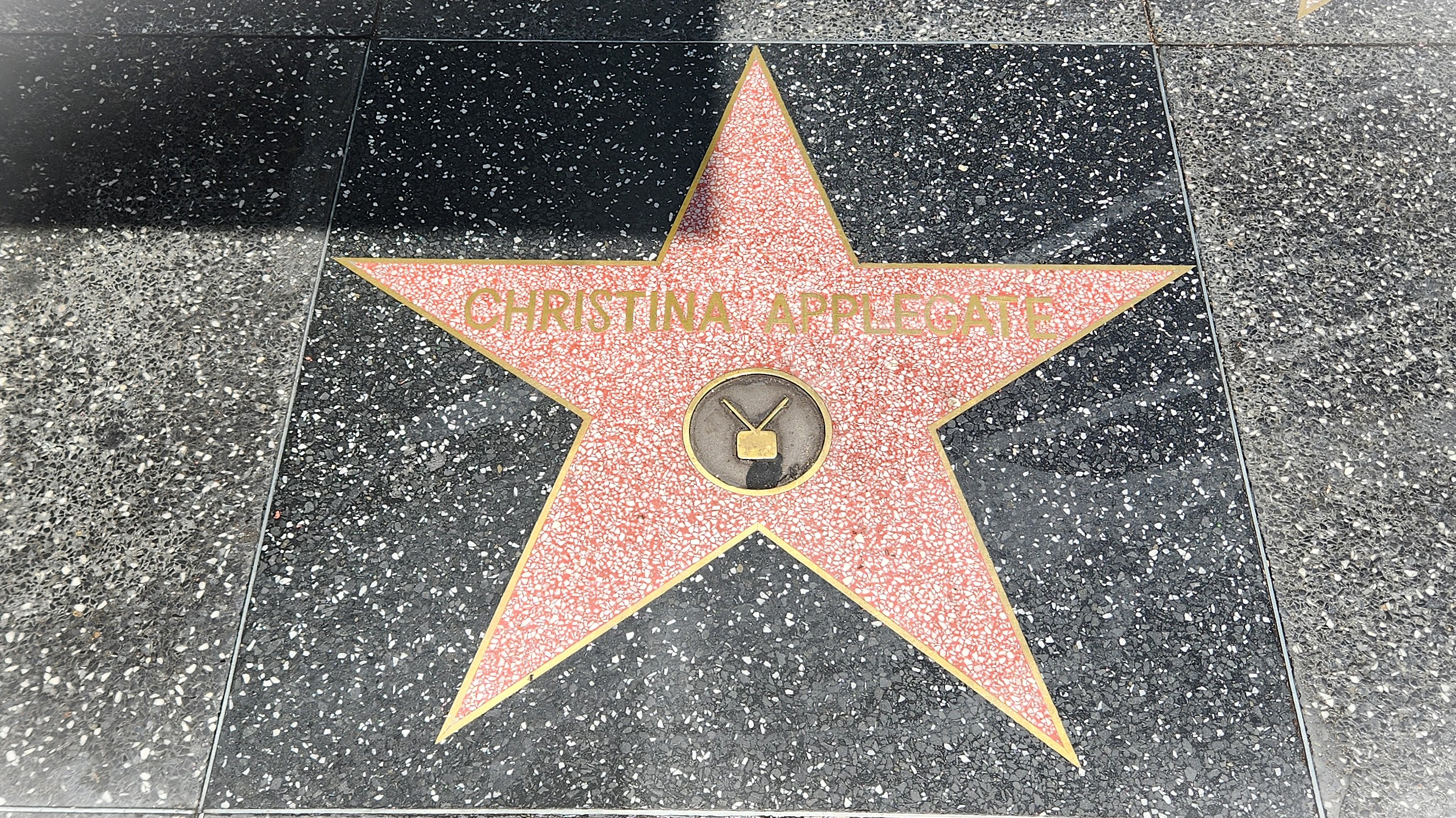🧡 My MS Journey | You With The Sad Eyes A Memoir by Christina Applegate